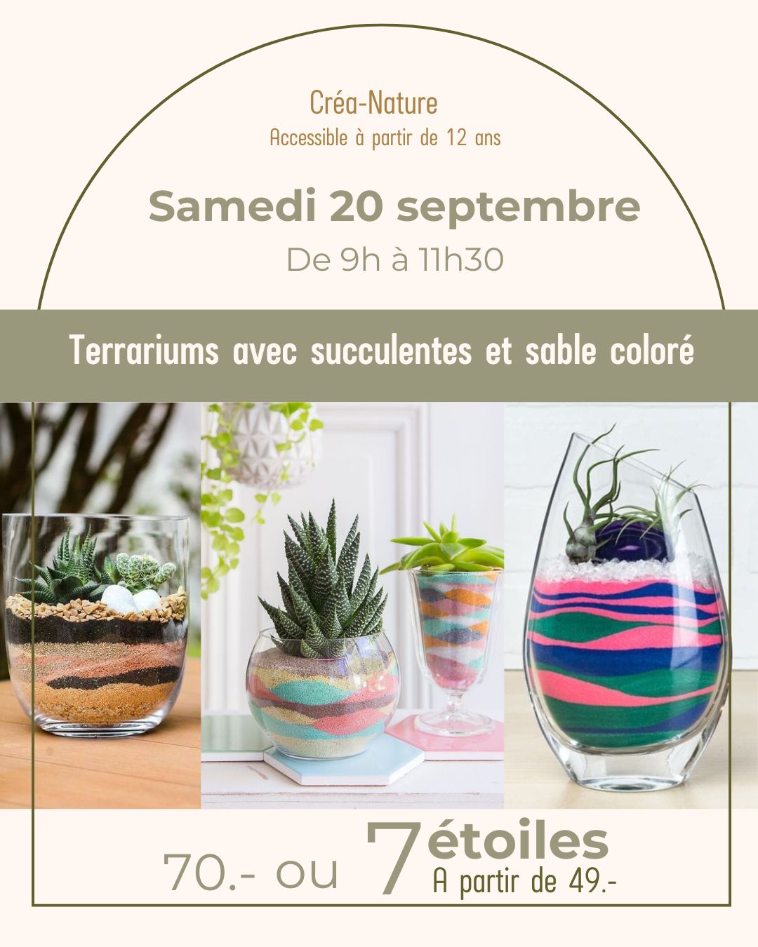 Terrarium avec succulente et sable coloré