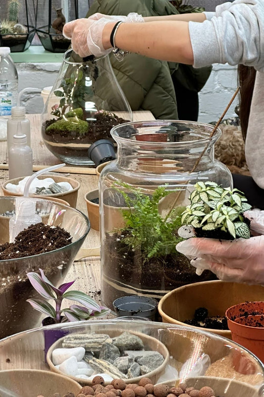 Eveil de la terre - Dimanche 29 mars de 17h à 19h30