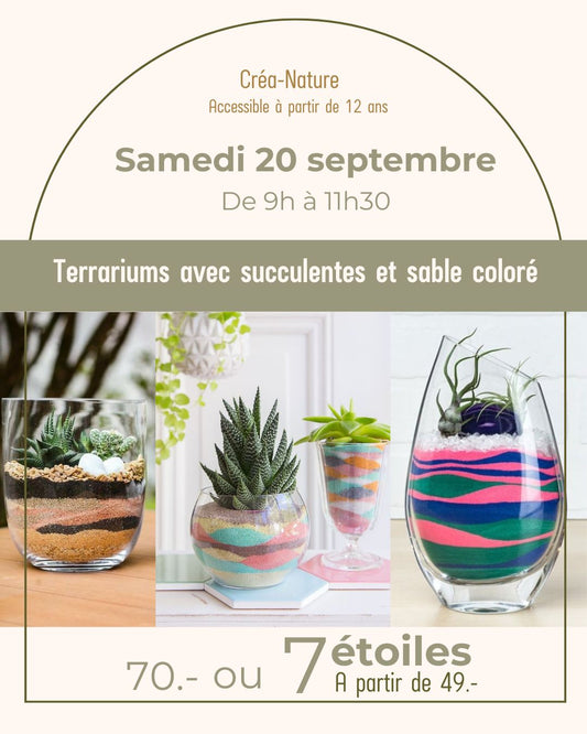 Terrarium avec succulente et sable coloré