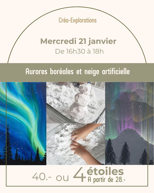 Aurores boréales et neige artificielle - Mercredi 21 janvier de 16h30 à 18h